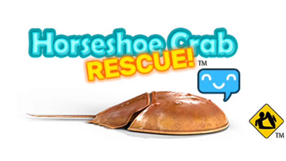 Newニンテンドー3ds用ソフト Horseshoe Crab Rescue が海外向けとして配信決定 Nintendo Switch 情報ブログ