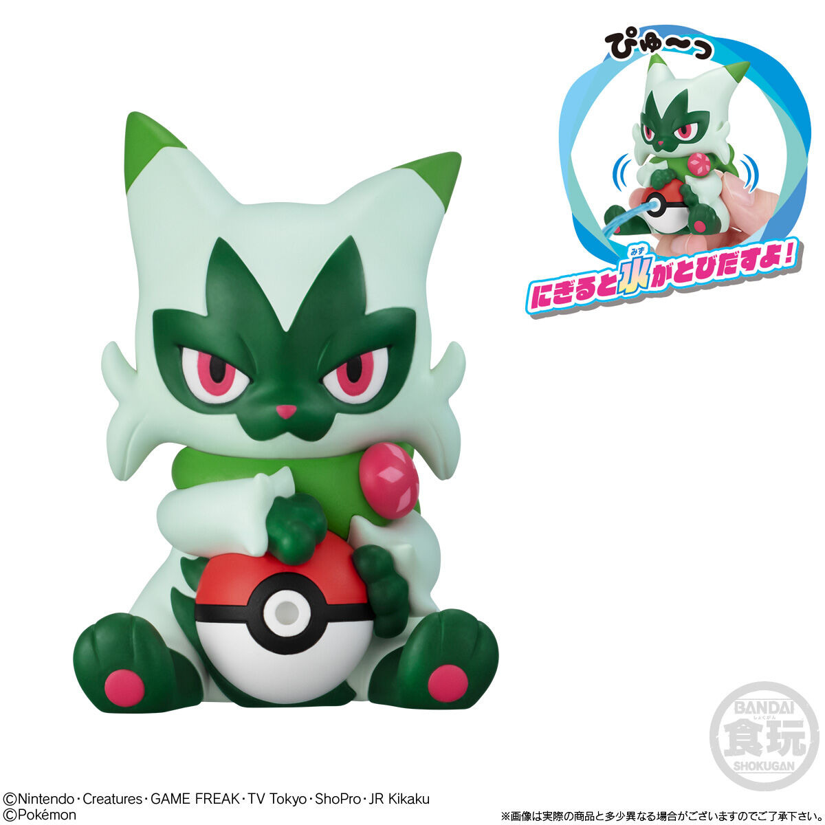 pokemon-mizu-dexpyu-2024-1216-released3