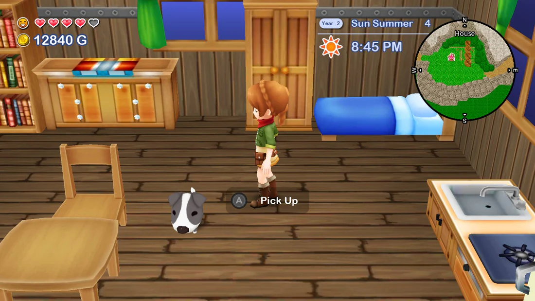 harvest-moon-the-lost-valley-and-harvest-moon-skytree-village-for-nintendo-switch-preorder-bonus22