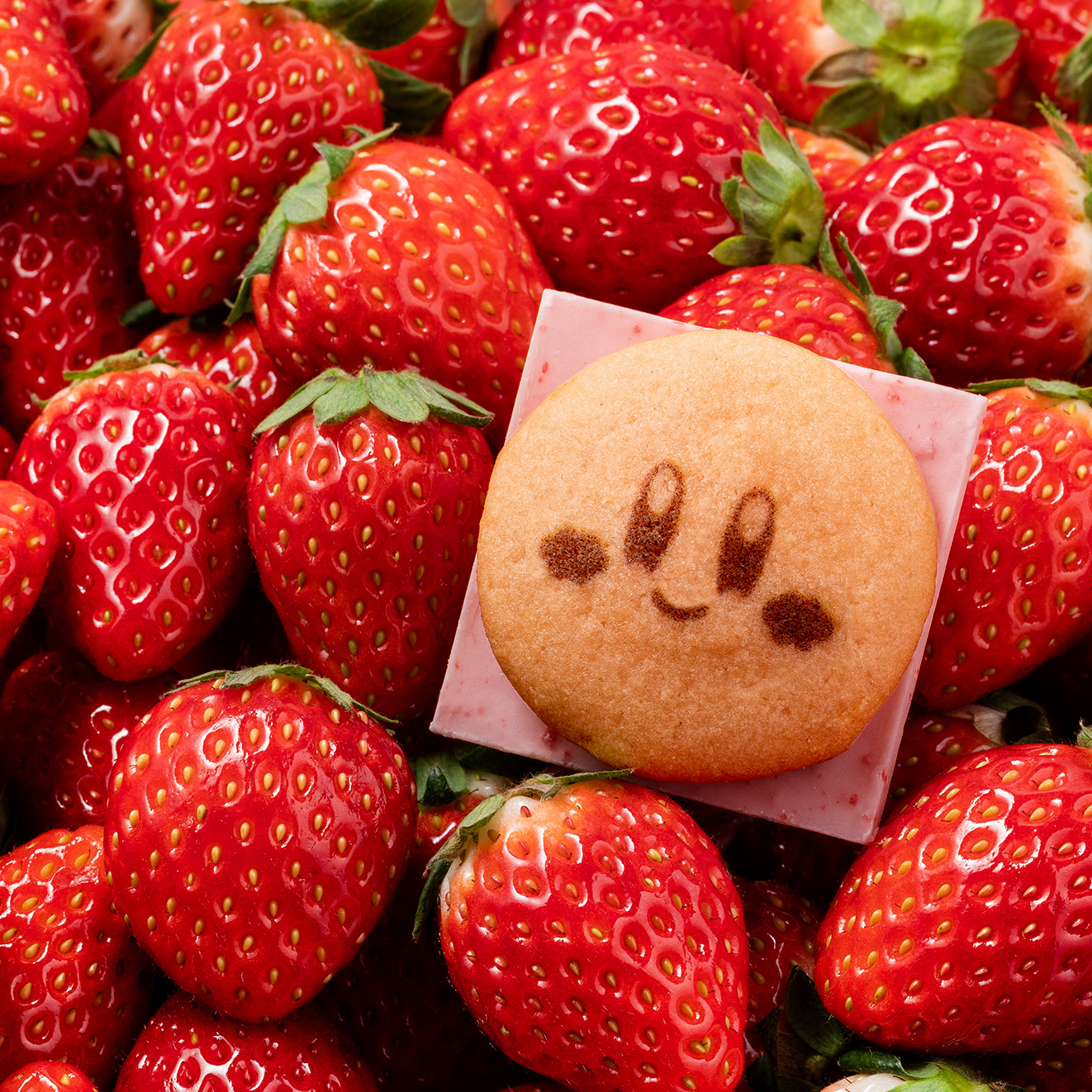 sweetsburger-kirby-strawberry-burger-haneda35