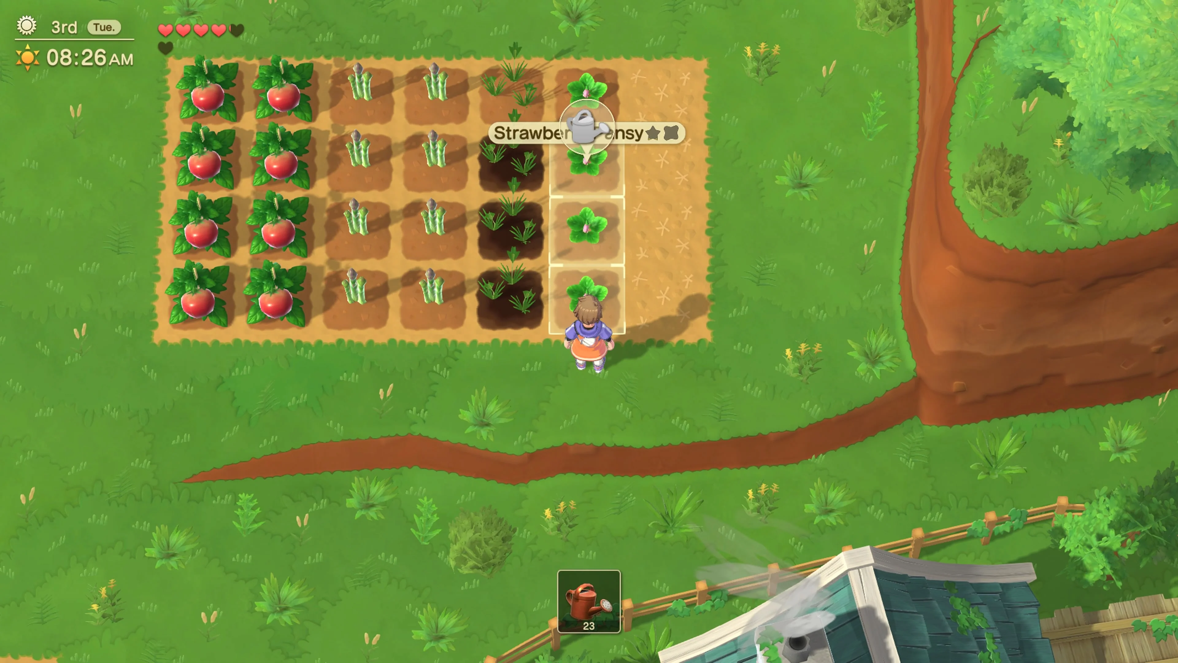 harvest-moon-home-sweet-home-special-edition-for-switch-and-pc-release-deta12