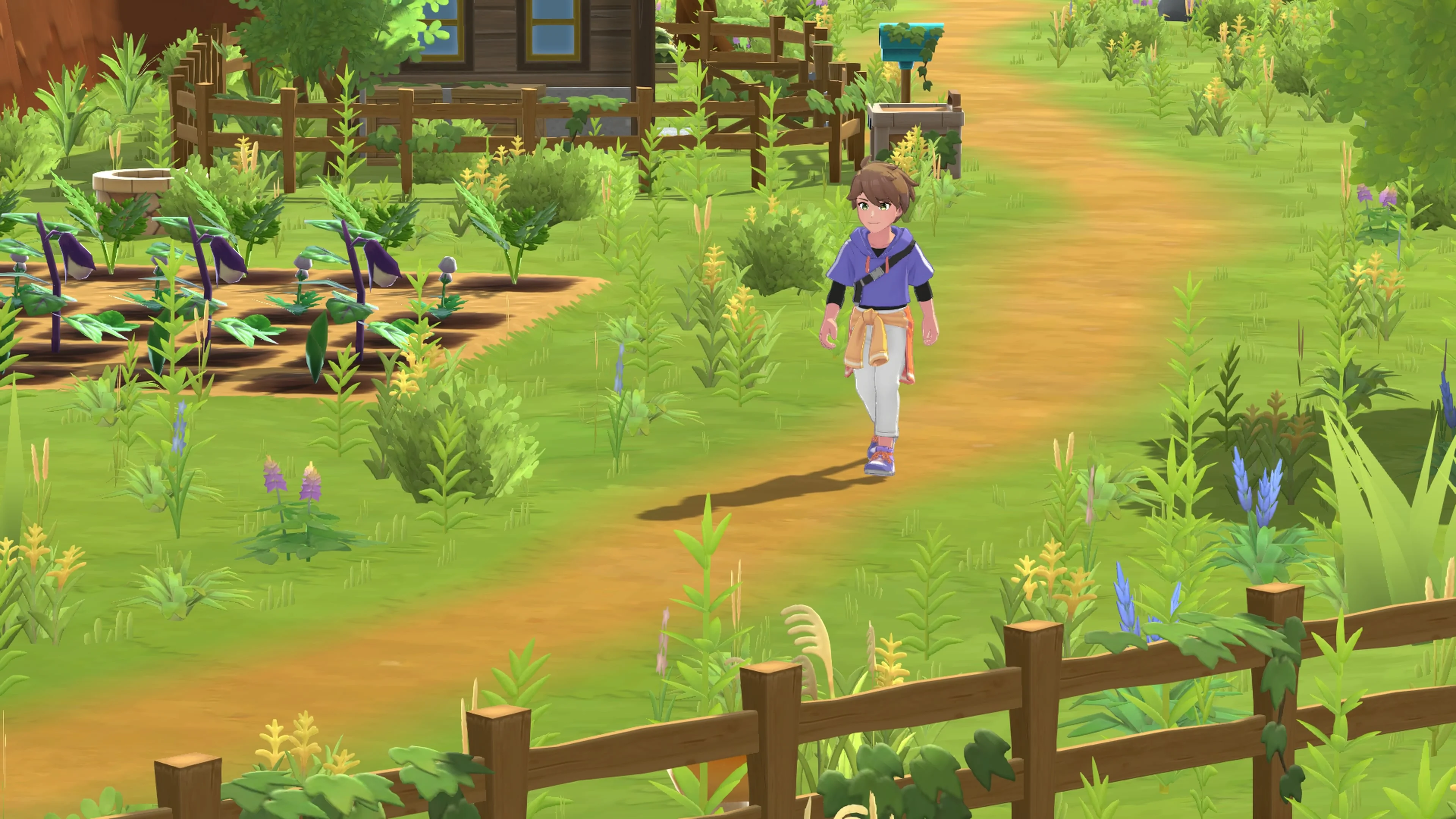 harvest-moon-home-sweet-home-special-edition-for-switch-and-pc-release-deta21