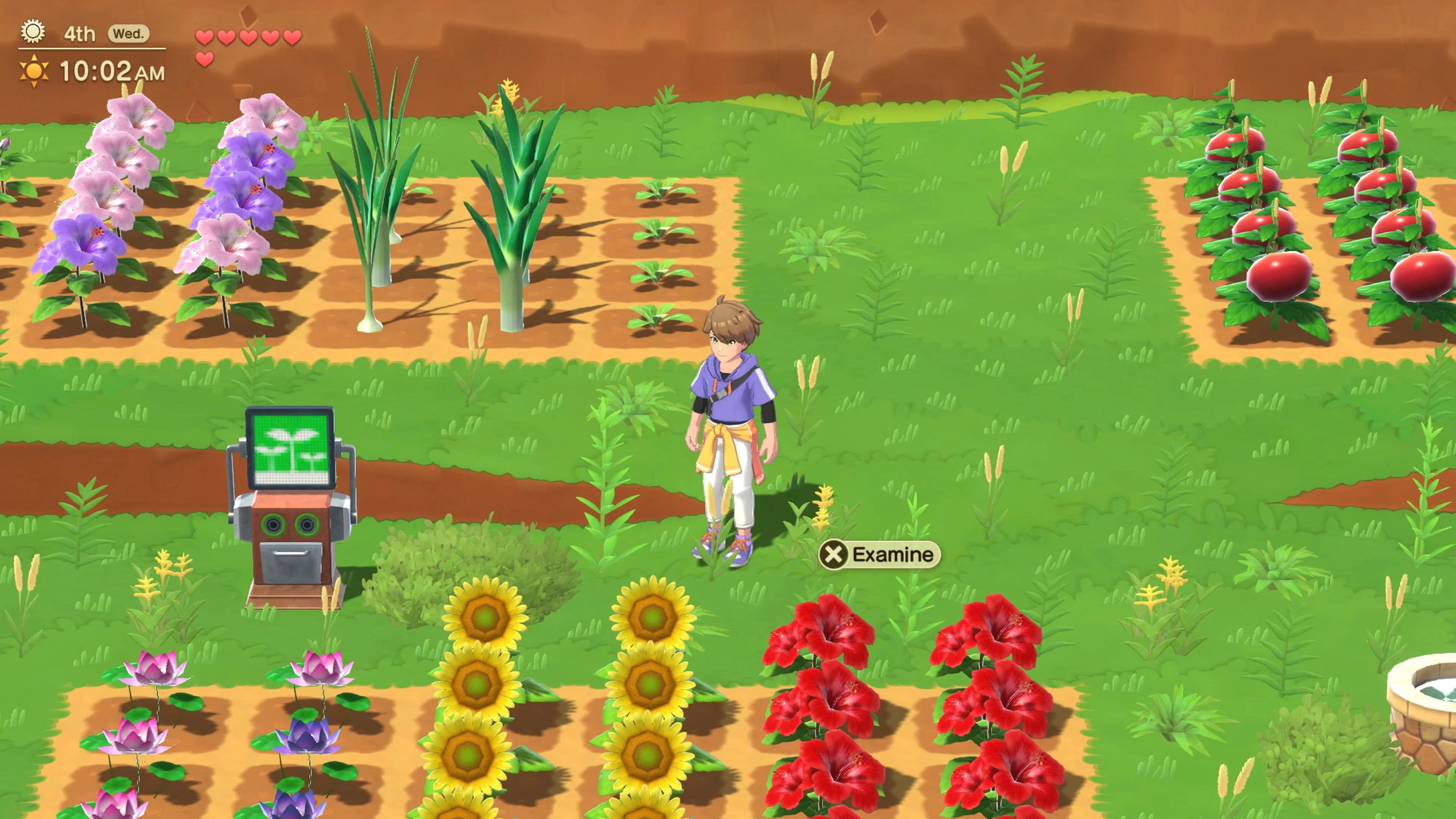 harvest-moon-home-sweet-home-special-edition-for-switch-and-pc-release-deta23