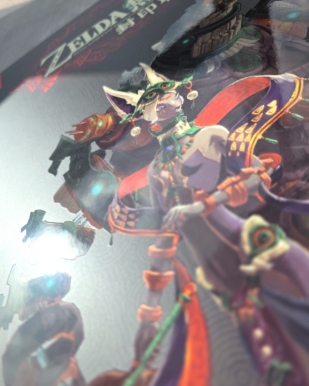 zelda-muso-fuuin-senki-for-switch2-hongkong-tokuten86