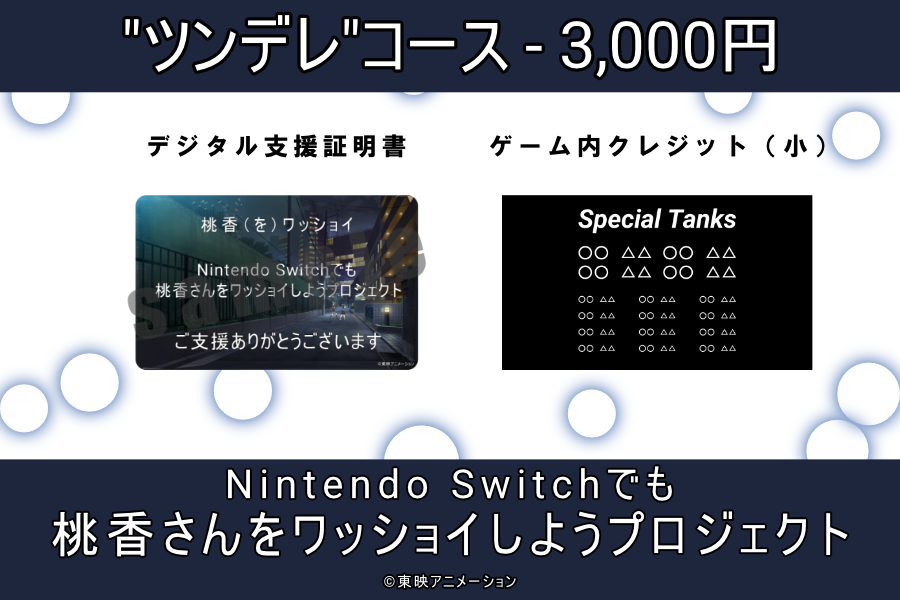 momoka-wasshoi-switch-cloud-funding-project12