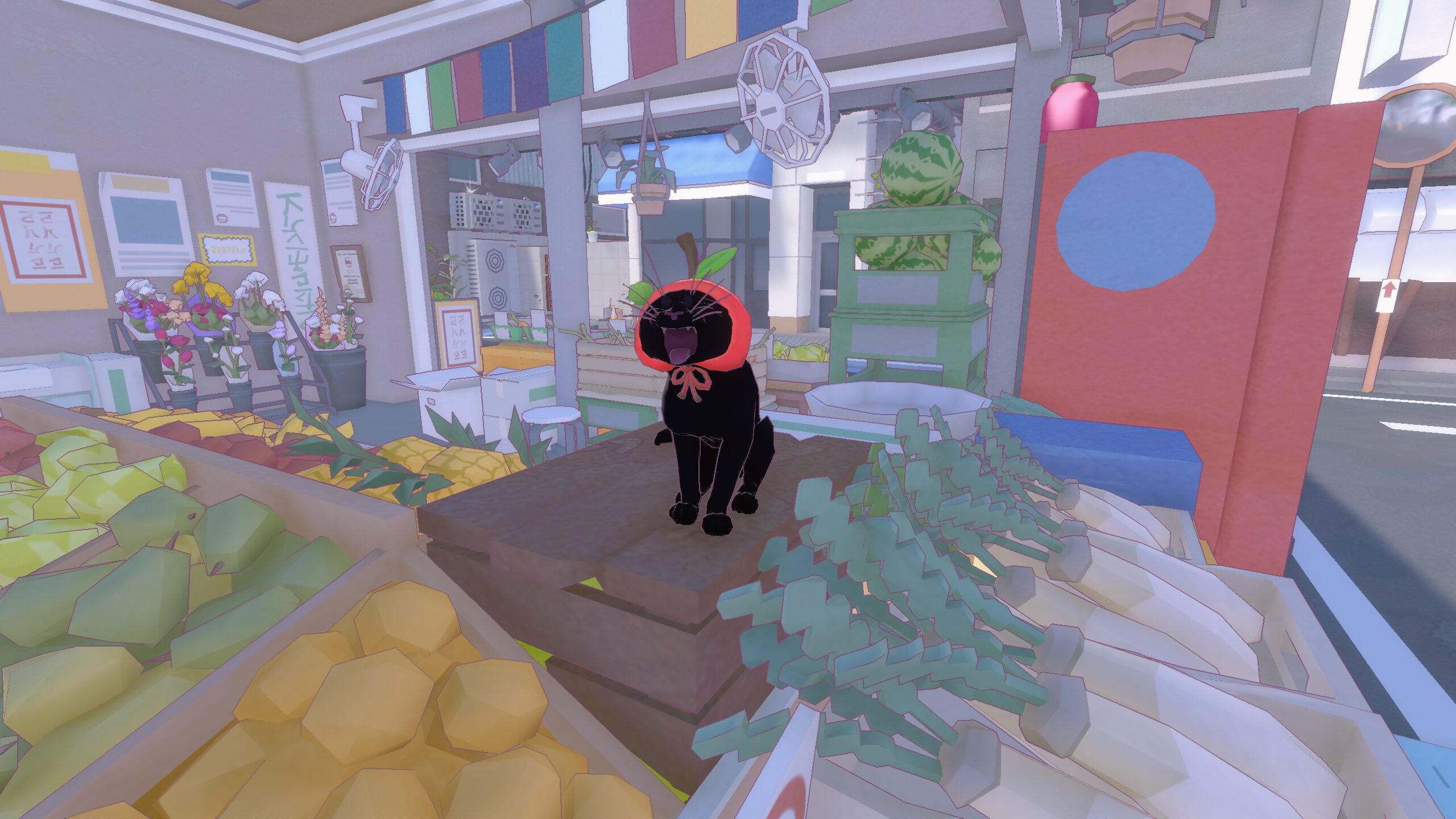 little-kitty-big-city-package-2026-released11