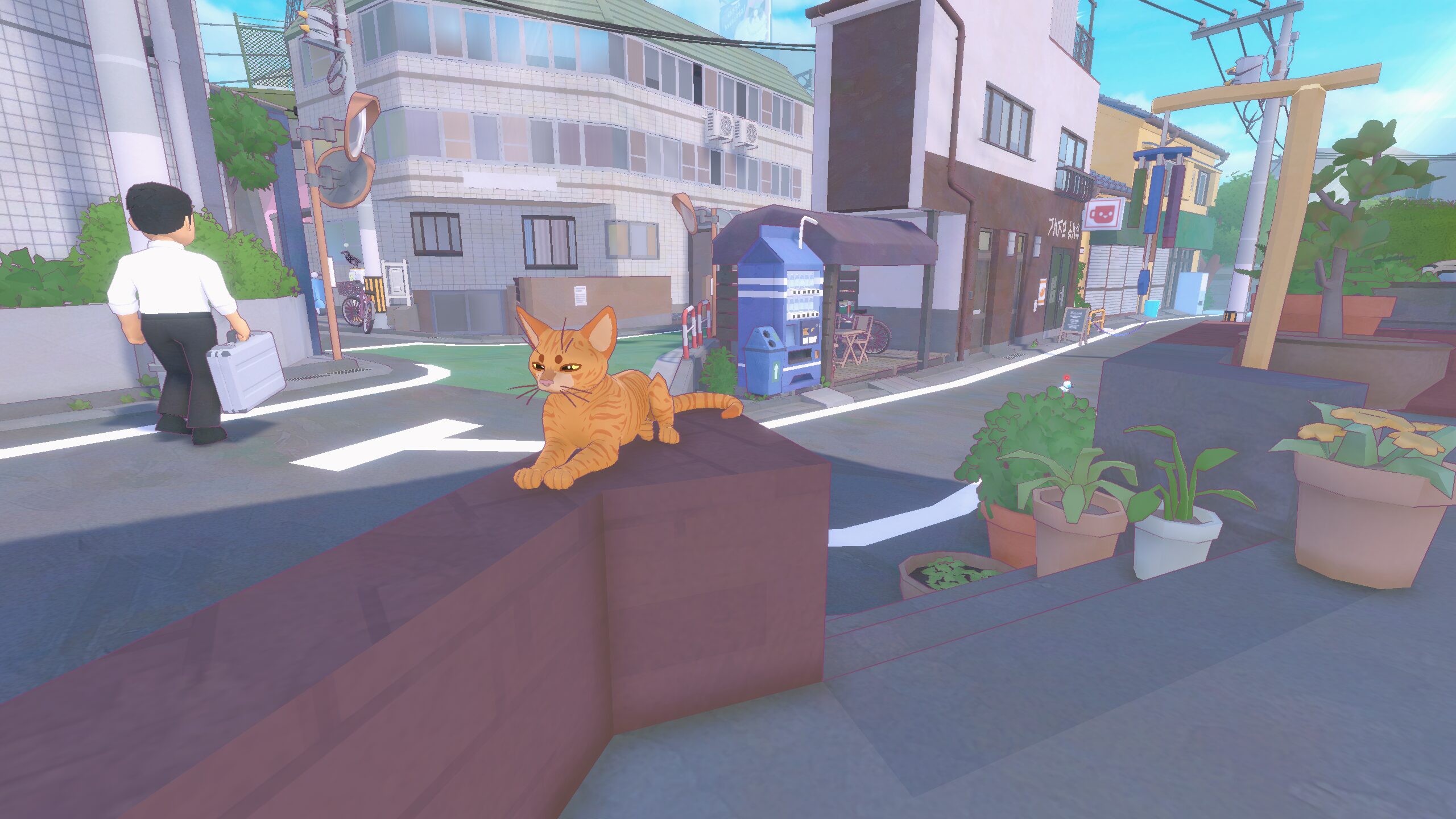 little-kitty-big-city-package-2026-released12