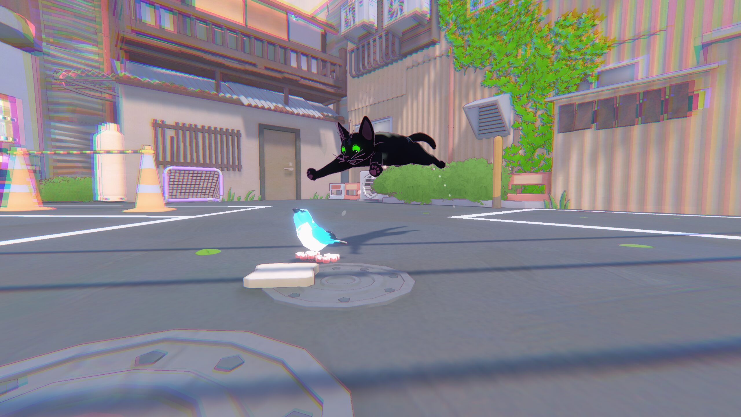 little-kitty-big-city-package-2026-released13