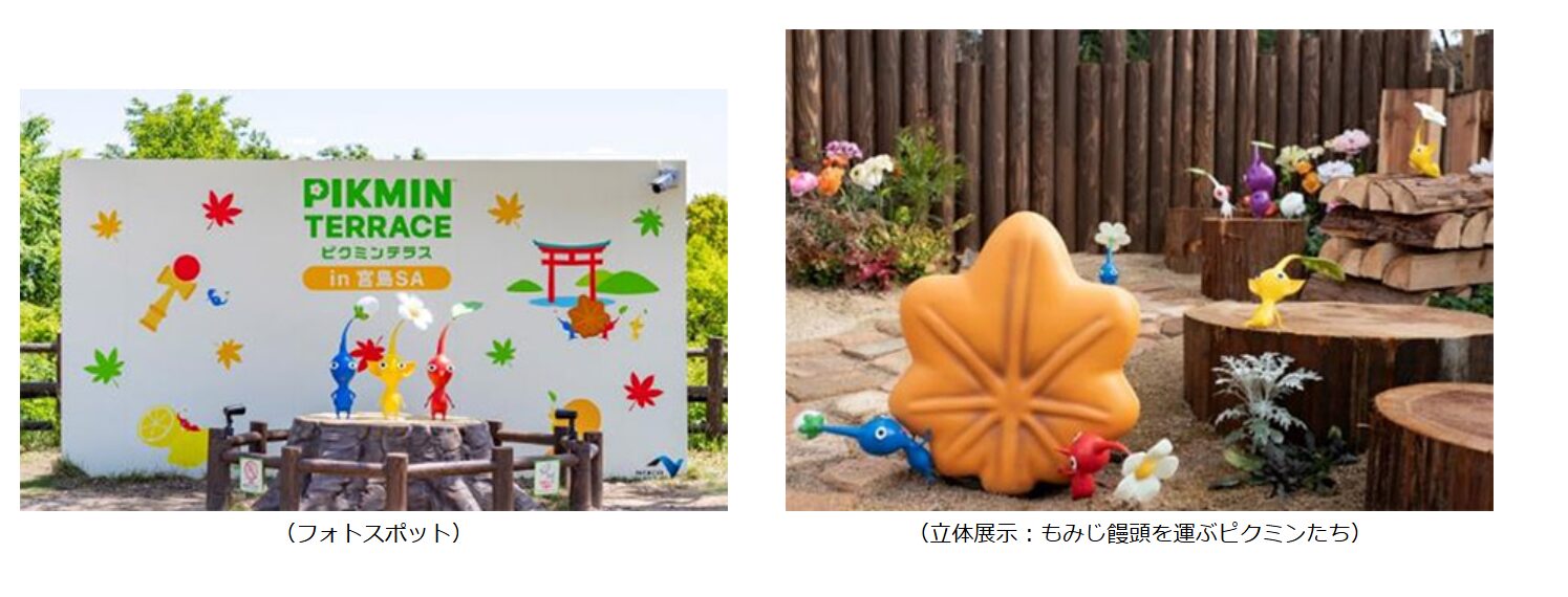 pikumin-terrace-2026-05-renewal11