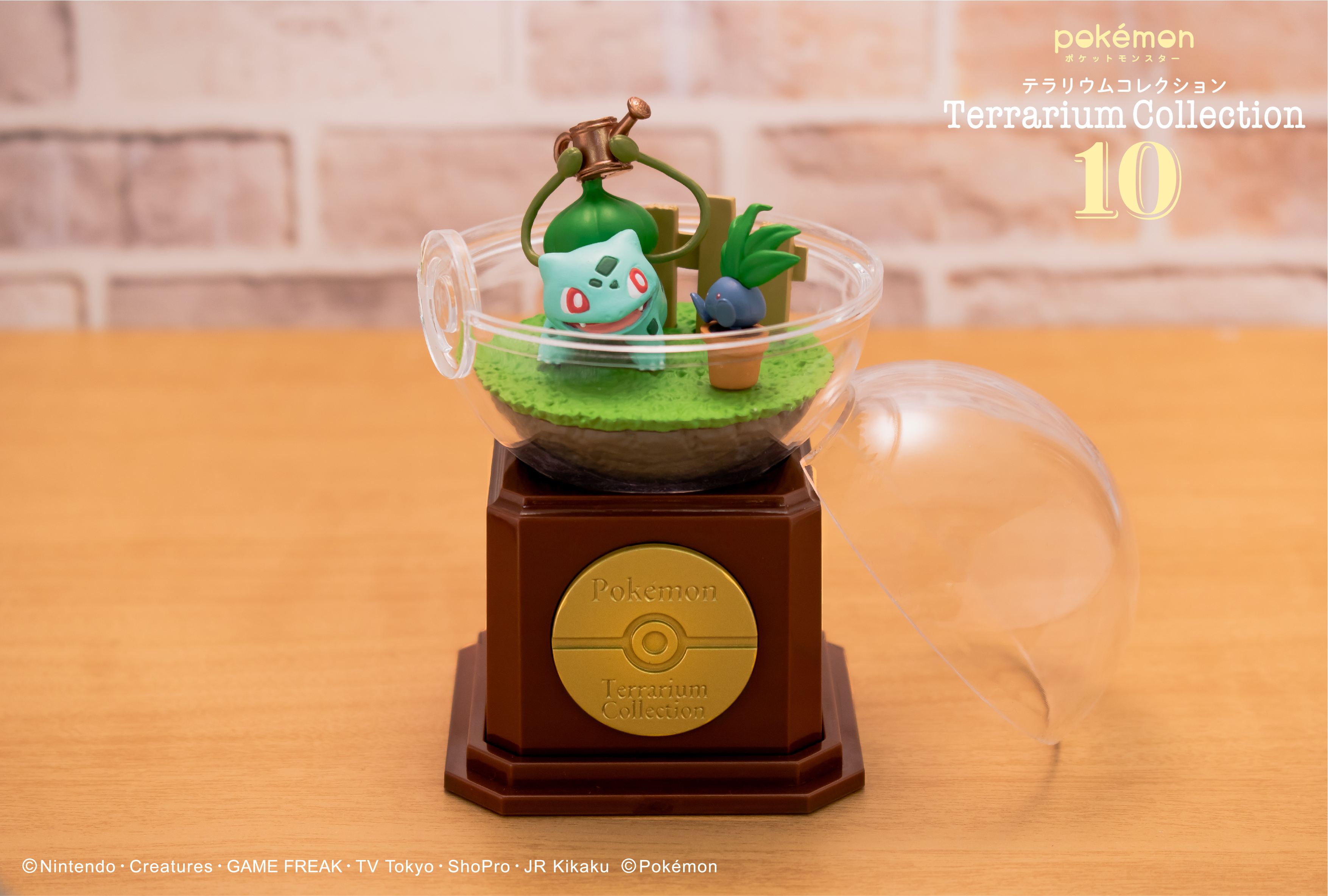 pokemon-kaichu-collection-1-announce33