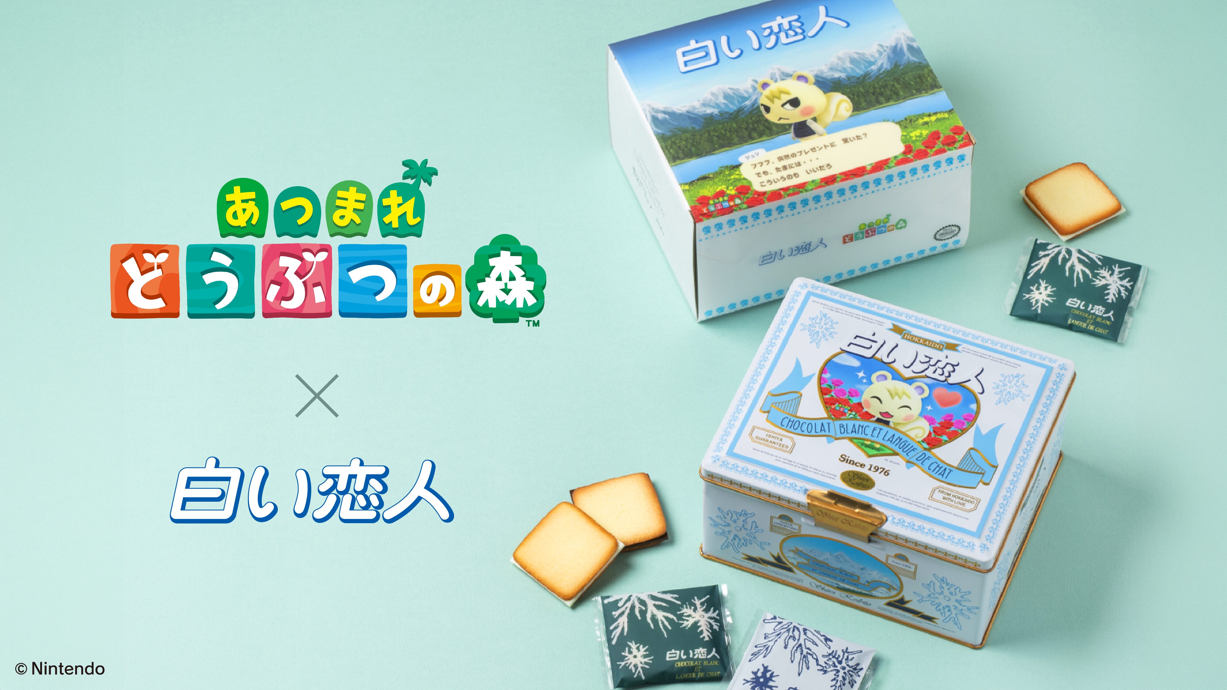 shiro-koibito-asumori-collabo-kan-announce1