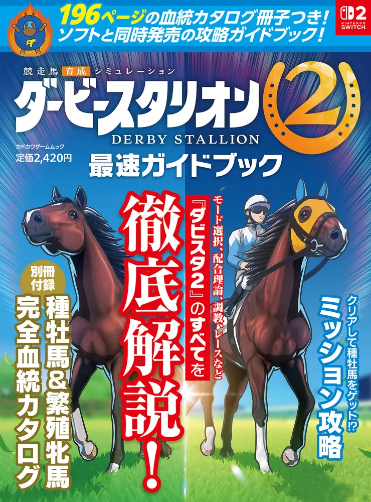 derbystal-2-guidebook-yoyaku1