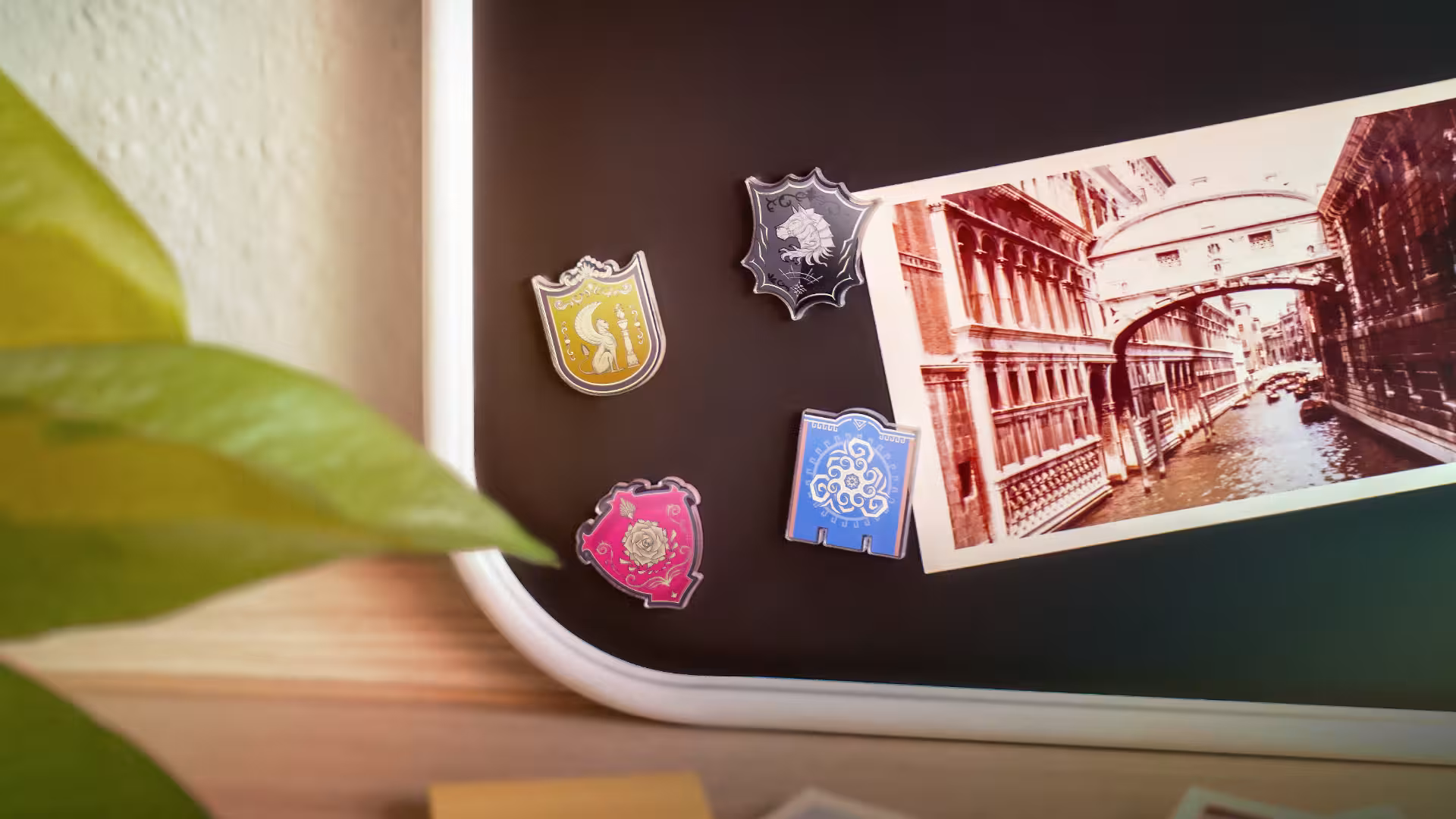 zelda-desktop-metal-display-p-point-and-v-boy-glasses-case26