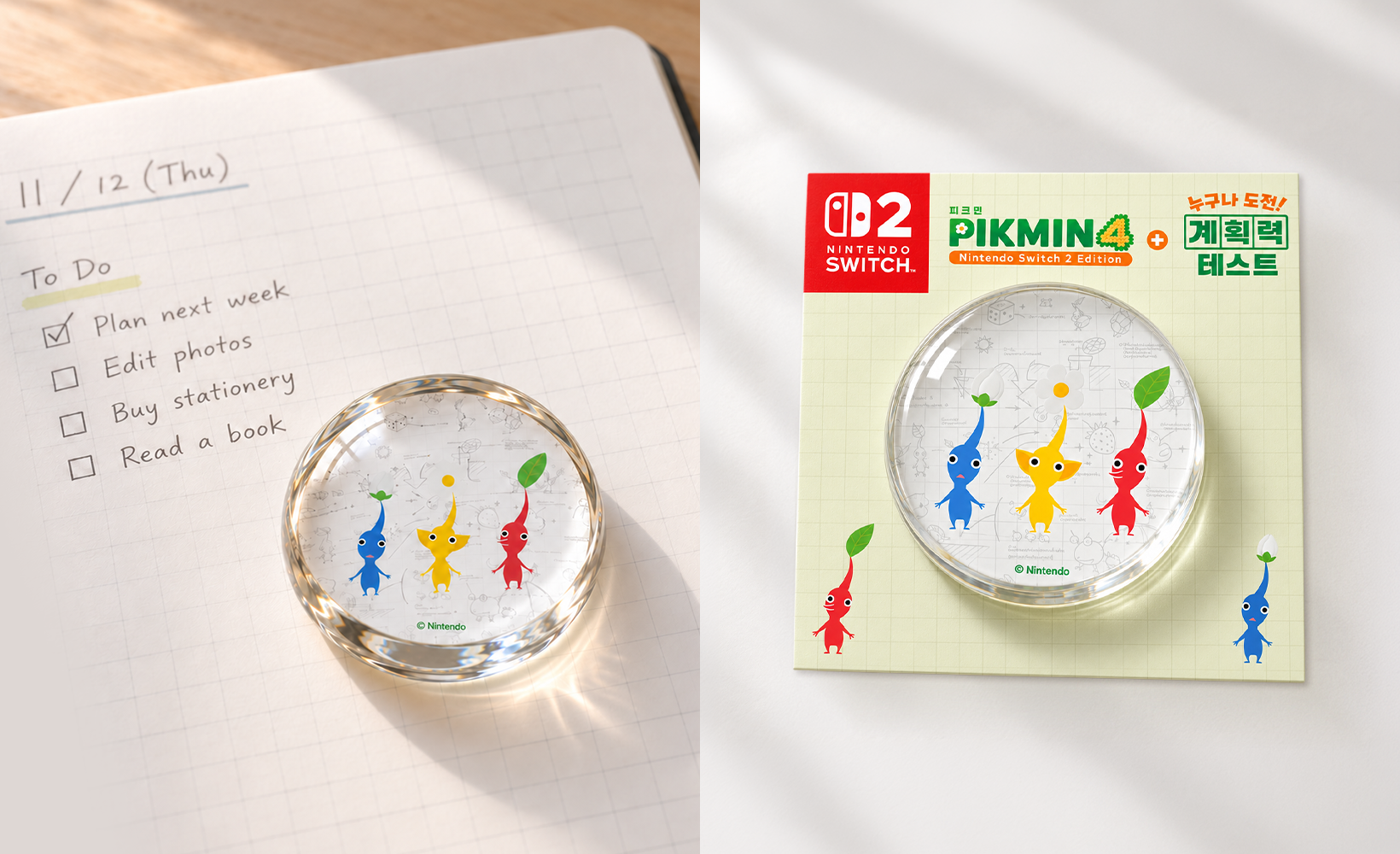 pikmin-4-dandori-for-switch2-korea11